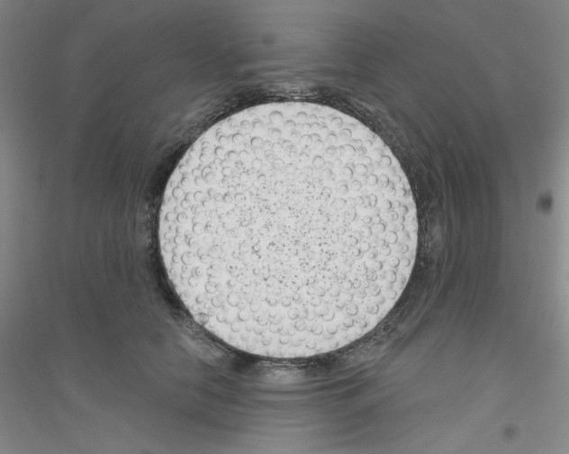 X0000116870658201002021128