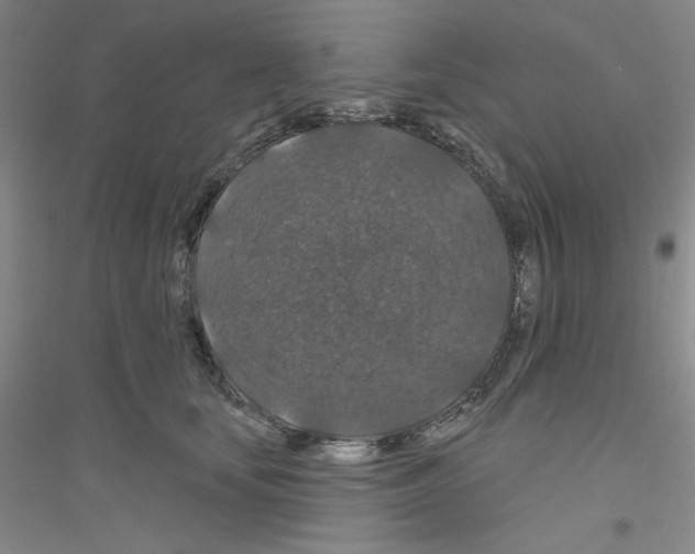 X0000116870659201002021128