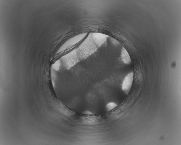 X0000116870661201002021128