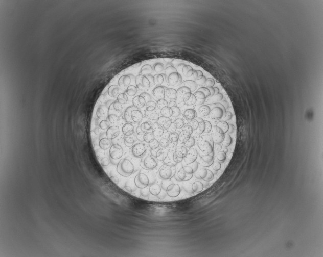 X0000116870662201002021128