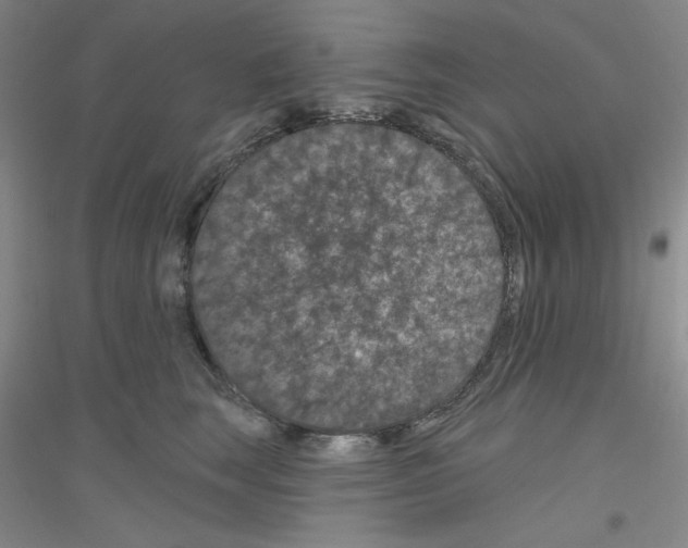 X0000116870663201002021128