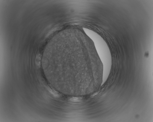X0000116870664201002021128