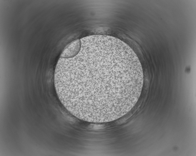 X0000116870665201002021128