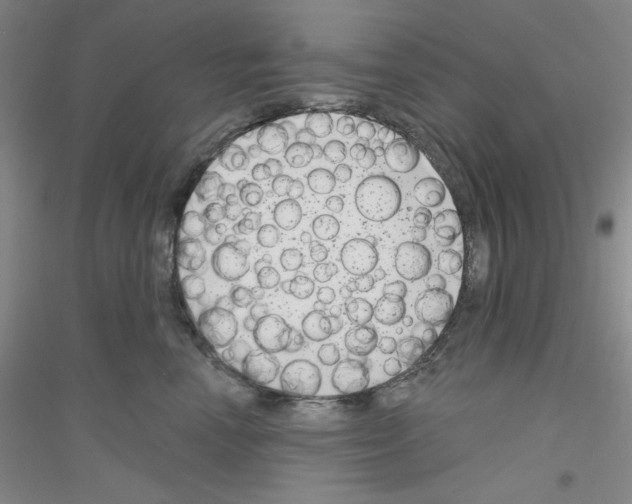 X0000116870666201002021128