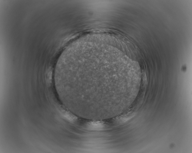 X0000116870668201002021128