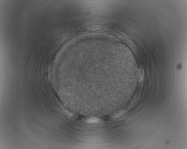 X0000116870669201002021128