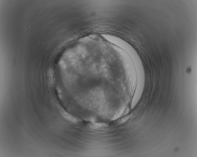 X0000116870670201002021128