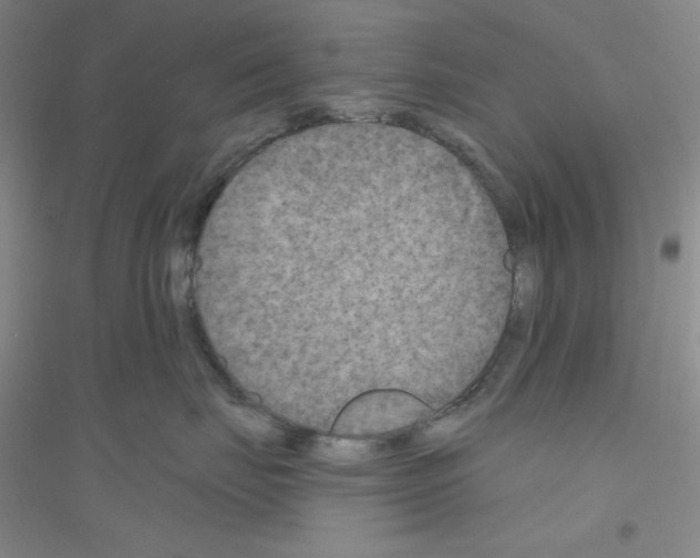 X0000116870671201002021128