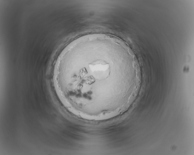 X0000116870672201002021128