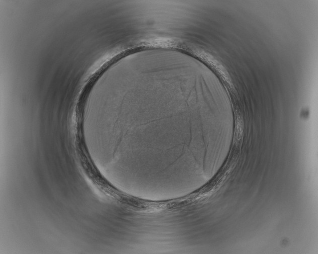 X0000116870674201002021128