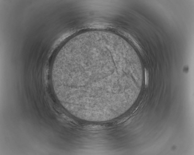 X0000116870675201002021128