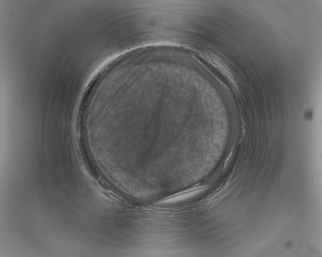 X0000116870676201002021128