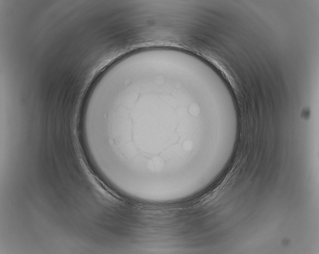 X0000116870677201002021128