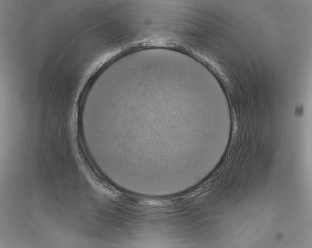 X0000116870678201002021128
