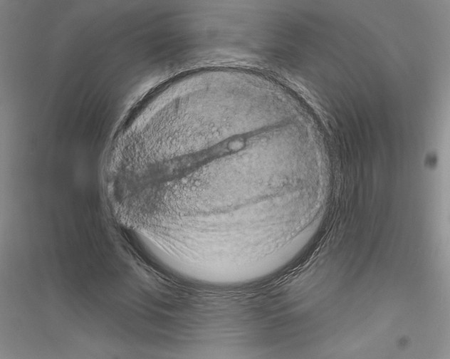 X0000116870679201002021128