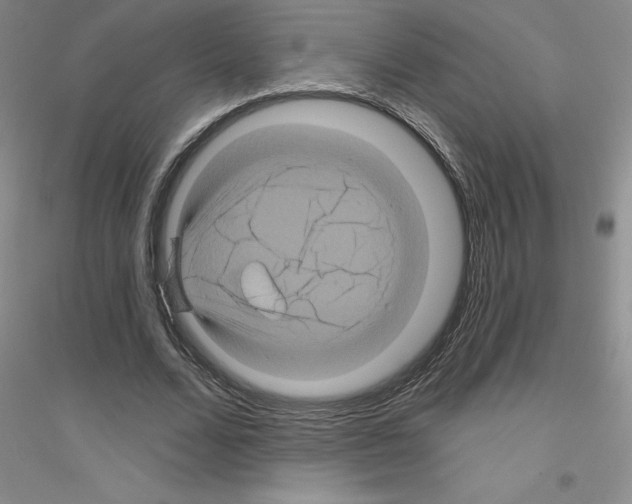 X0000116870680201002021128