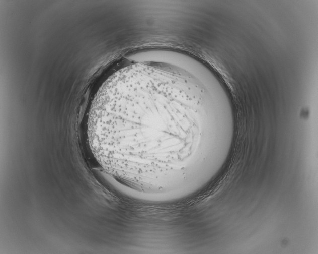 X0000116870681201002021128