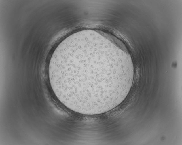 X0000116870682201002021128