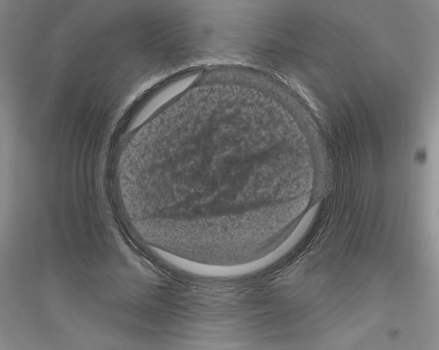 X0000116870684201002021127