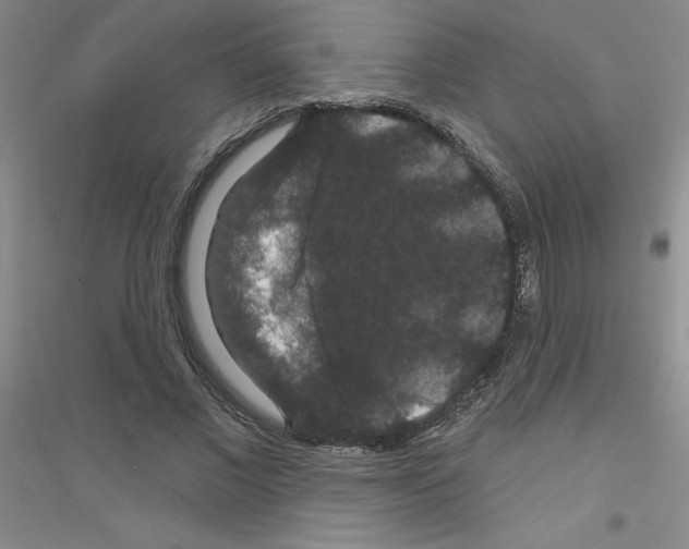 X0000116870685201002021127