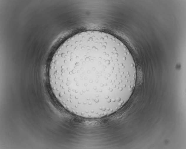 X0000116870686201002021127
