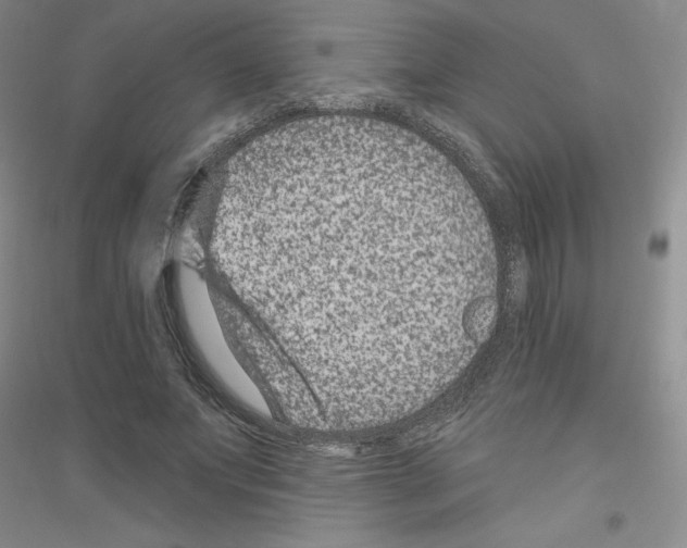 X0000116870687201002021127