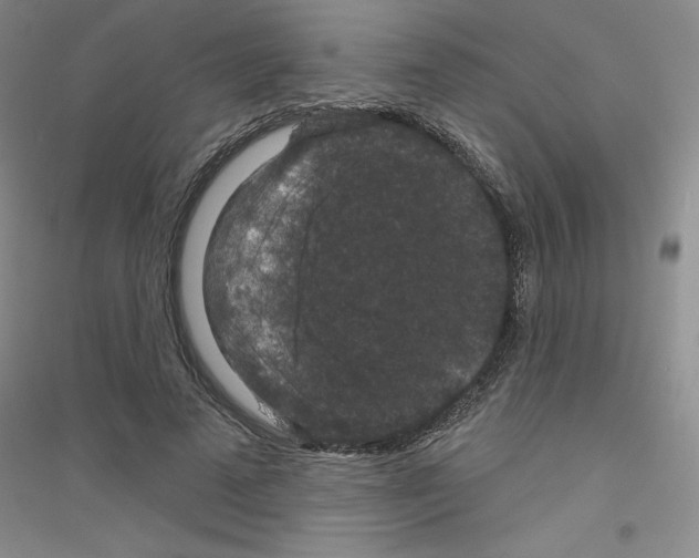 X0000116870689201002021127
