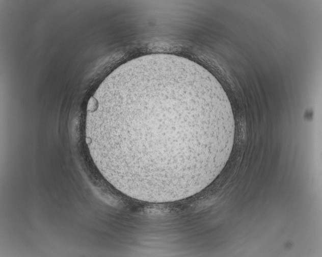 X0000116870690201002021127