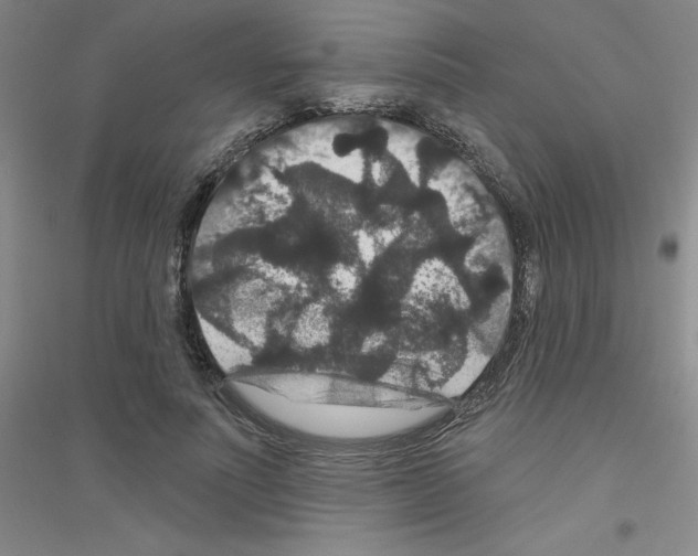 X0000116870691201002021127