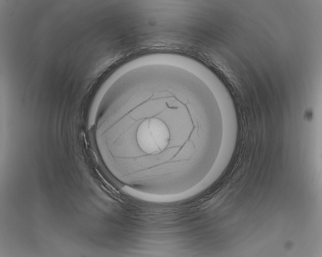 X0000116870692201002021127