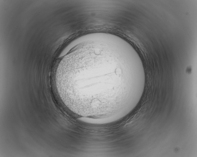 X0000116870693201002021127