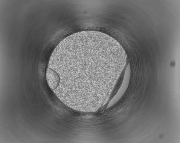 X0000116870695201002021127