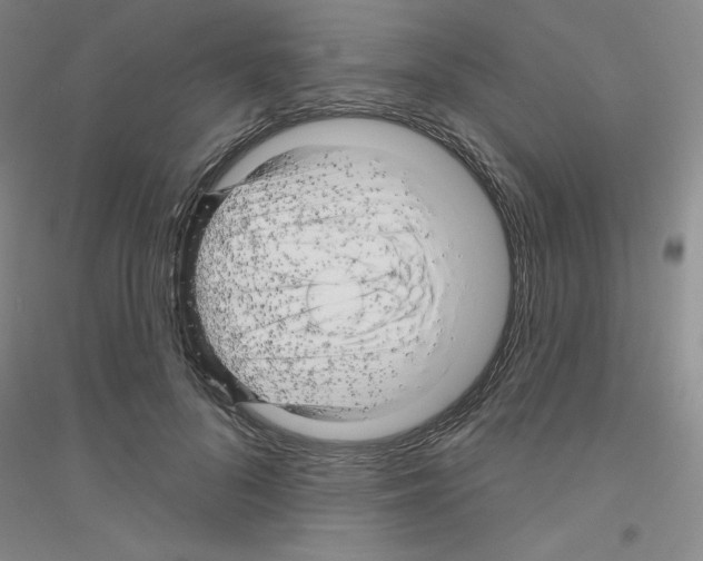 X0000116870696201002021127