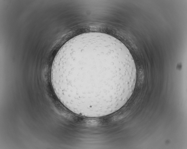 X0000116870698201002021127