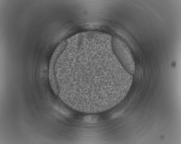 X0000116870700201002021127