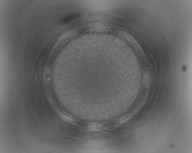 X0000116870701201002021127