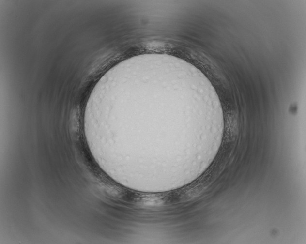 X0000116870702201002021127