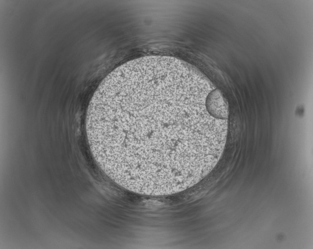 X0000116870703201002021127