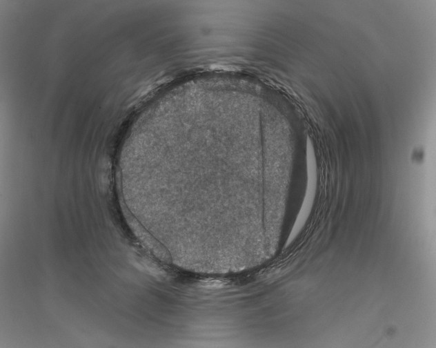 X0000116870704201002021127