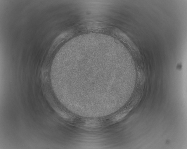 X0000116870705201002021127