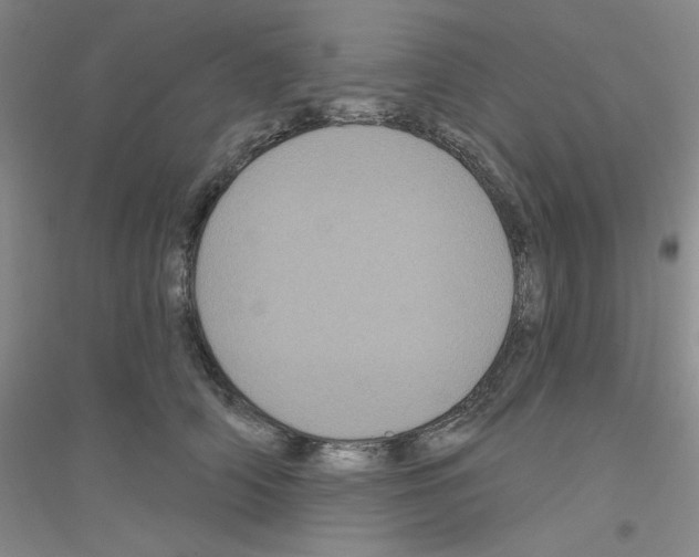 X0000116870706201002021127