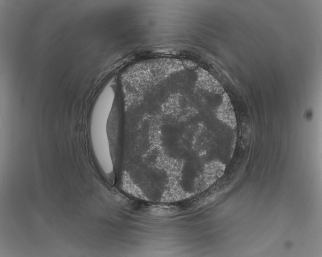 X0000116870707201002021127
