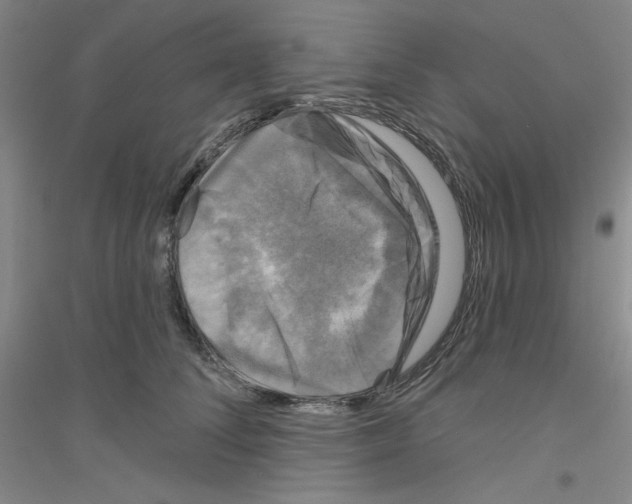 X0000116870708201002021127