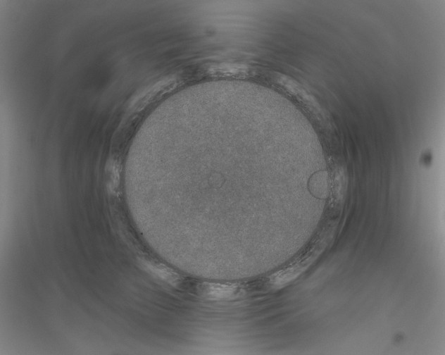 X0000116870709201002021127