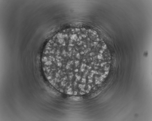 X0000116870711201002021127