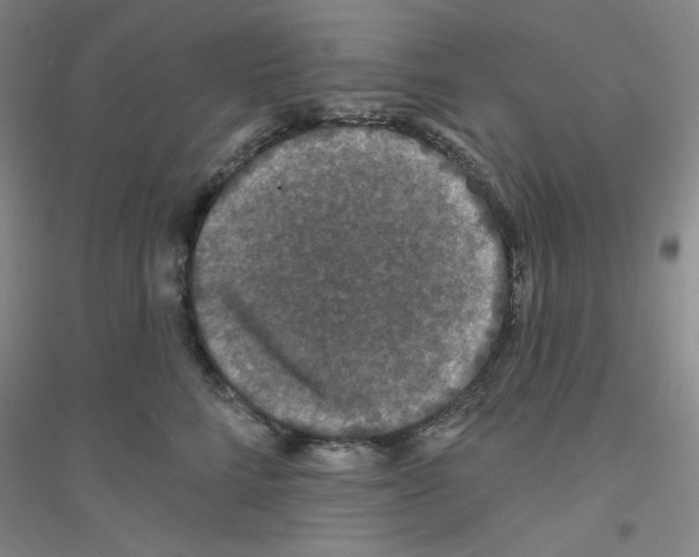 X0000116870712201002021127
