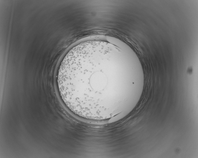 X0000116870713201002021127