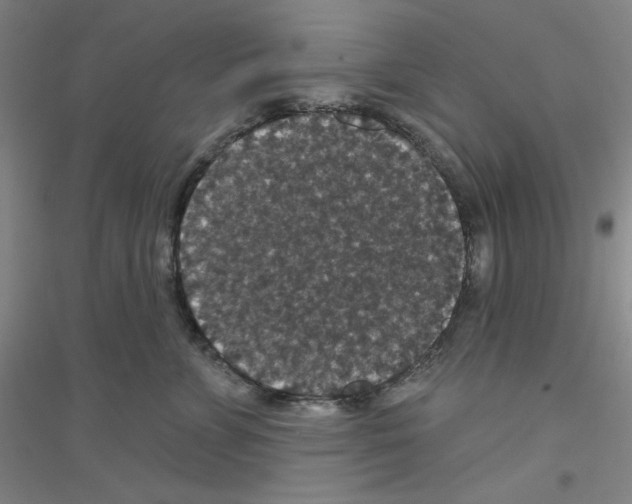 X0000116870715201002021127