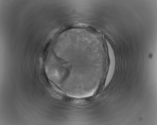 X0000116870716201002021127