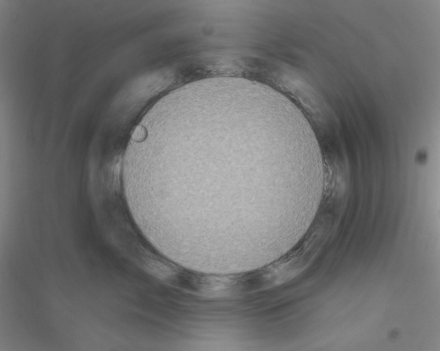 X0000116870717201002021127